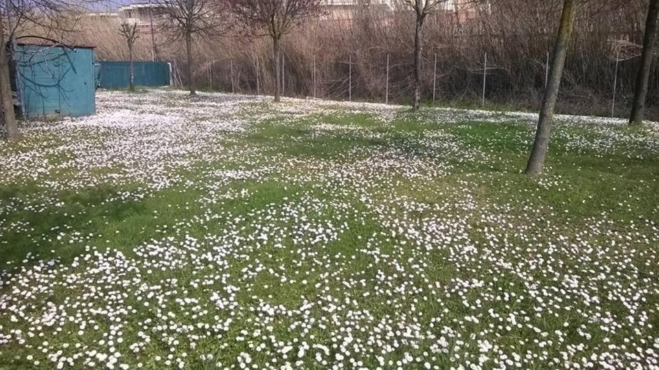 Hotel Rosati Rimini Dış mekan fotoğraf